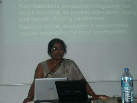 Photo, World Renewable Energy Conference X – 2008